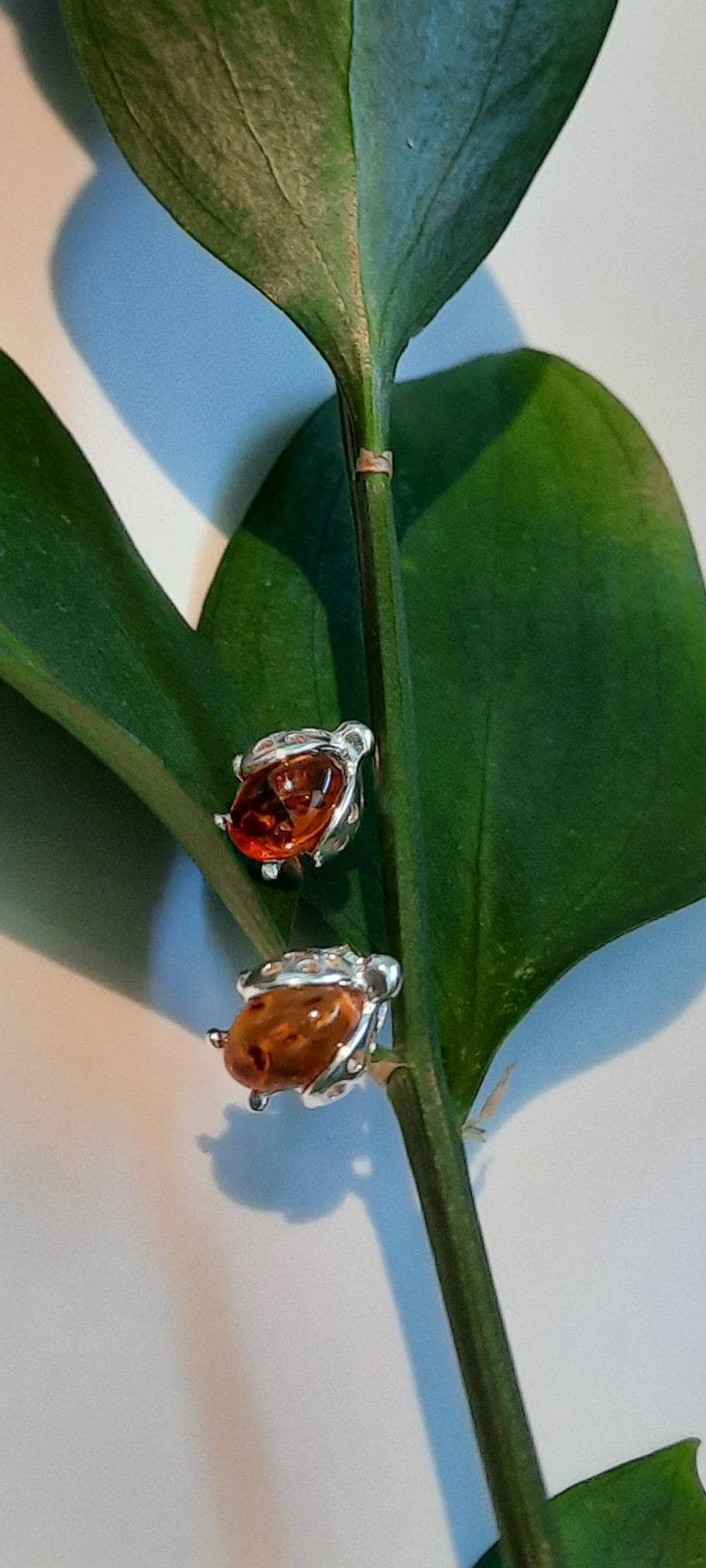 Stunning Ladybug necklace and earrings jewellery set